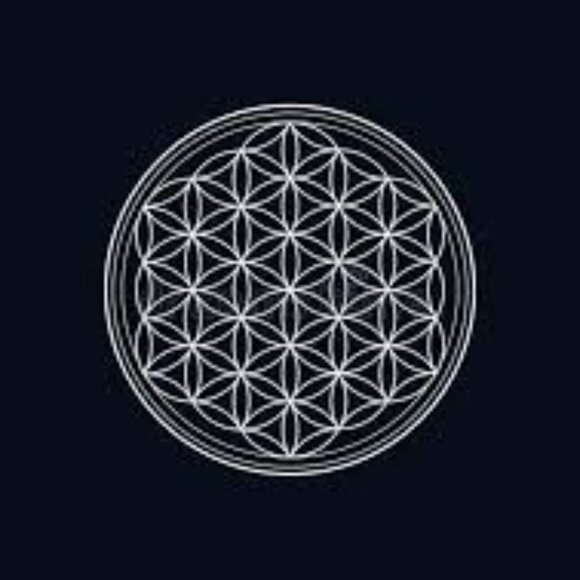 ✨️Sterling Silver Flower of Life Statement Ring - Picture 13 of 15